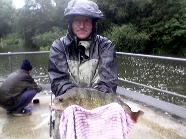 A Perch weighing 4 lbs from Teston Weir on the River Medway