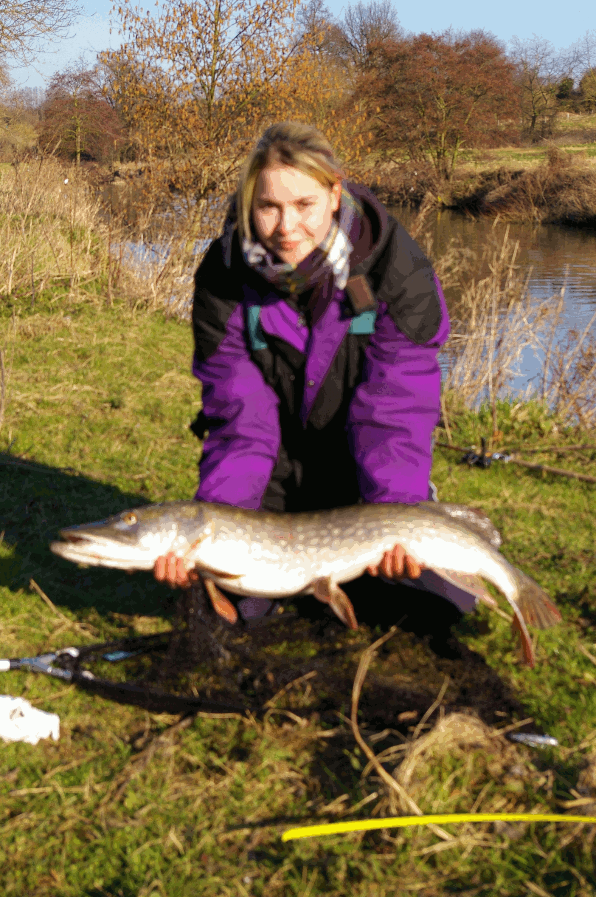 A pike from the Medway, my daughter holds the fish. It was just under
      20lbs in weight